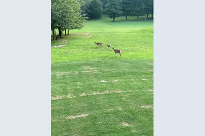 117 Sharp Mountain Crk, Ball Ground, GA 30107 - Photo 52