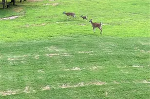 117 Sharp Mountain Crk, Ball Ground, GA 30107 - Photo 52