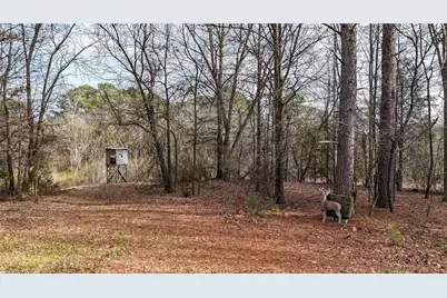 188 Richards Road NE, White, GA 30184 - Photo 22