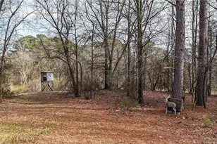 188 Richards Rd NE, White, GA 30184 - Photo 22