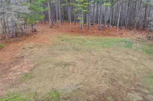 2377 Centerville Rosebud Rd, Loganville, GA 30052 - Photo 68