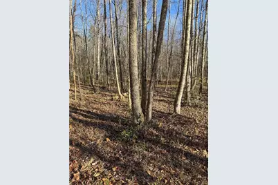 0 Highway 19 N N, Dahlonega, GA 30533 - Photo 16