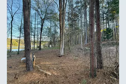 37 Farmstead Way, Senoia, GA 30276 - Photo 86