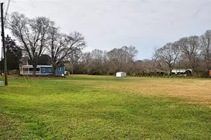 206 N Johnson St, Newborn, GA 30056 - Photo 38