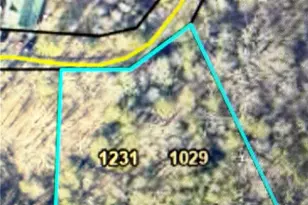 1029 Raccoon Ridge NE, Ranger, GA 30734 - Photo 1