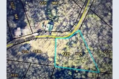 1029 Raccoon Ridge NE, Ranger, GA 30734 - Photo 2