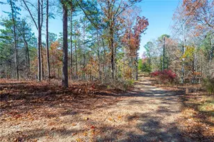 536 Wimberly Hill Rd, Cedartown, GA 30125 - Photo 36