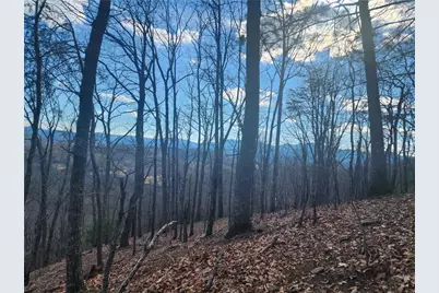 000 Trackrock Gap Road, Blairsville, GA 30514 - Photo 1