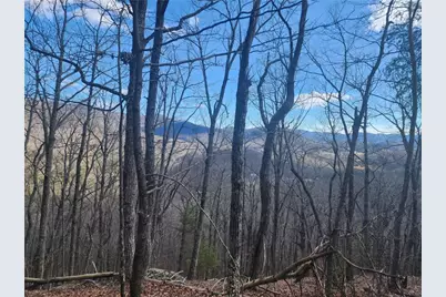 000 Trackrock Gap Road, Blairsville, GA 30514 - Photo 2