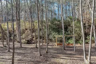 246 Woodward Wy, Talking Rock, GA 30175 - Photo 38