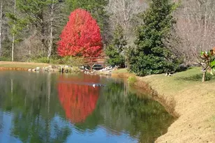 1466 Newport Dr, Ellijay, GA 30540 - Photo 42