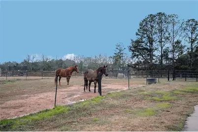 3221 Hollonville Road, Williamson, GA 30292 - Photo 42