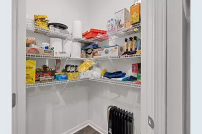 2142 Blue Monarch Drive, Buford, GA 30519 - Photo 14