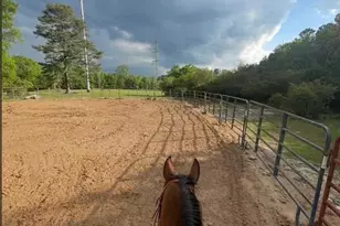 8420 Cleckler Rd, Palmetto, GA 30268 - Photo 50