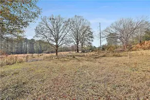 8420 Cleckler Rd, Palmetto, GA 30268 - Photo 38