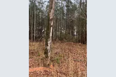 6661 Highway 42, Rex, GA 30273 - Photo 4