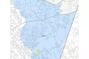 946 Chippewa Oak Dr NE, Dacula, GA 30019 - Photo 68