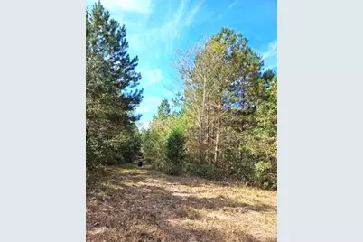 0 Fruit Farm Road, Summerville, GA 30747 - Photo 2