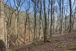 102 Siddiqui Ct, Waleska, GA 30183 - Photo 36