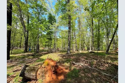 733 Pleasant Union Road, Canton, GA 30114 - Photo 16