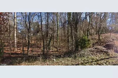 1358 Brown Street, Gainesville, GA 30507 - Photo 1