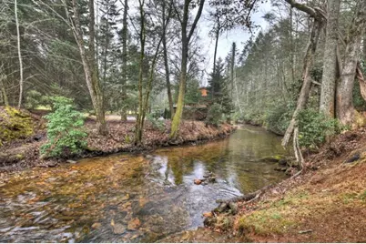 111 Laurel Crossing, Blue Ridge, GA 30513 - Photo 2