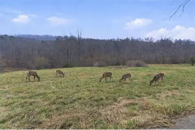 1478 Shinbone Valley Rd, La Fayette, GA 30728 - Photo 12