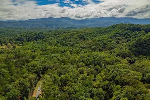 100 Crystal Oliver Ln, Cherrylog, GA 30522 - Photo 32