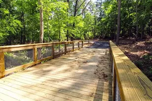 76 Mulberry Bush Dr, Loganville, GA 30052 - Photo 8