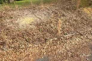 537 Rutherford Ave, Macon, GA 31206 - Photo 10