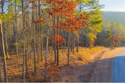 Lot 2 Blalock Mountain Road, Talking Rock, GA 30175 - Photo 14
