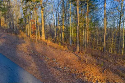 Lot 2 Blalock Mountain Road, Talking Rock, GA 30175 - Photo 8