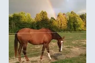 0 Mulligan Way, Jasper, GA 30143 - Photo 18