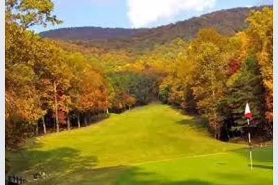 0 Mulligan Way, Jasper, GA 30143 - Photo 12