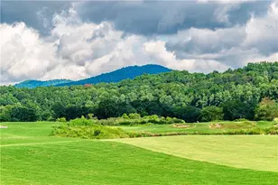 868 Old Owen Dr, Blairsville, GA 30512 - Photo 76