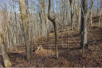 0 High Cliff Road, Jasper, GA 30143 - Photo 6