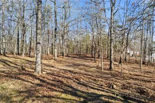 385 Breedlove Rd, Ball Ground, GA 30107 - Photo 30