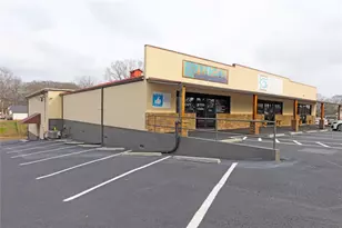 300 Alabama Ave, Bremen, GA 30110 - Photo 1