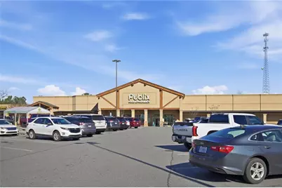 254 Lingefelt Lane, Canton, GA 30115 - Photo 52