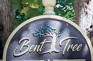 128 Big Stump Mountain Trail, Jasper, GA 30143 - Photo 46