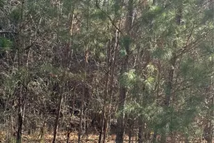 13905 Brown Bridge Rd, Covington, GA 30016 - Photo 1