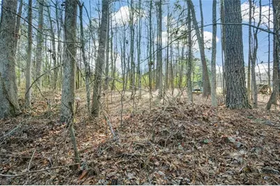 3871 Purdy Drive, Lithia Springs, GA 30122 - Photo 50