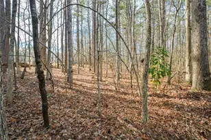 3871 Purdy Dr, Lithia Springs, GA 30122 - Photo 54