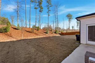 265 Lauritsen Way, Newnan, GA 30265 - Photo 22