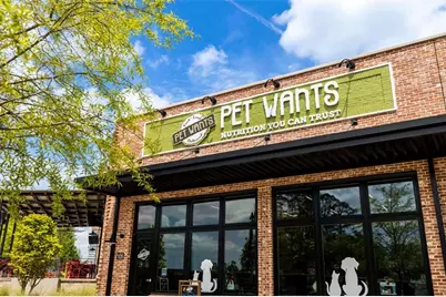 170 Rolison Way, Fayetteville, GA 30214 - Photo 50