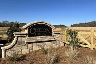 144 Cherokee Ct, Good Hope, GA 30641 - Photo 38