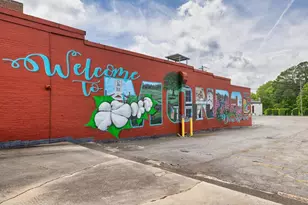 28 Tomahawk Trl, Good Hope, GA 30641 - Photo 74