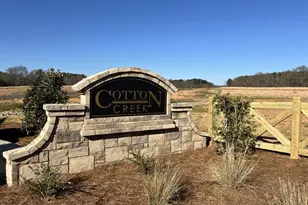 115 Cherokee Ct, Good Hope, GA 30641 - Photo 52