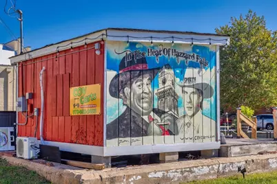 1297 Pj East Road, Covington, GA 30014 - Photo 44