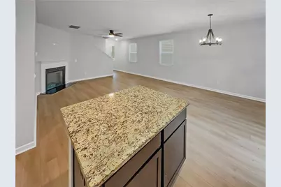 11911 Lovejoy Crossing Way, Hampton, GA 30228 - Photo 10